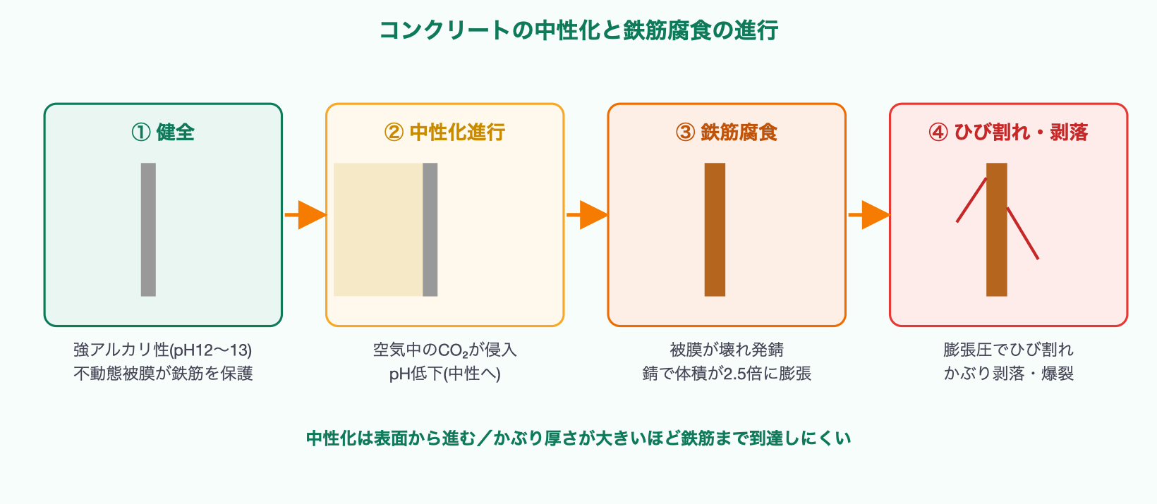 建築構造の劣化・中性化と鉄筋腐食の進行